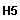 h5